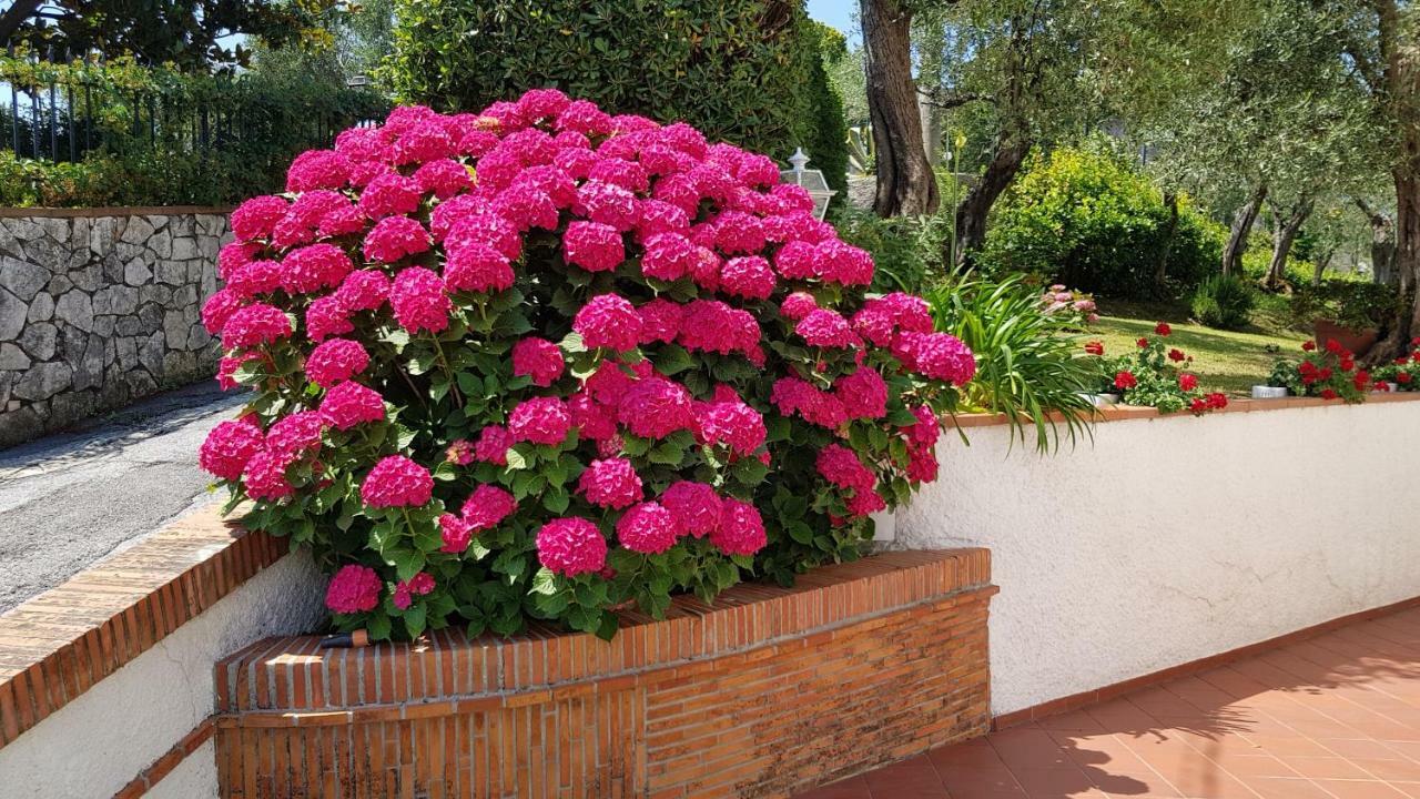 Casa Vittoria Villa Corsanico-Bargecchia Exteriör bild